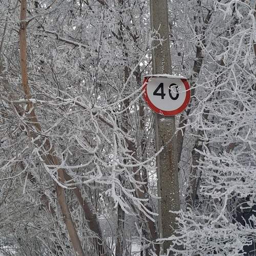 Photo #10715809