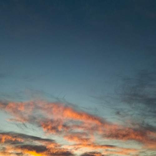 Photo #10716005