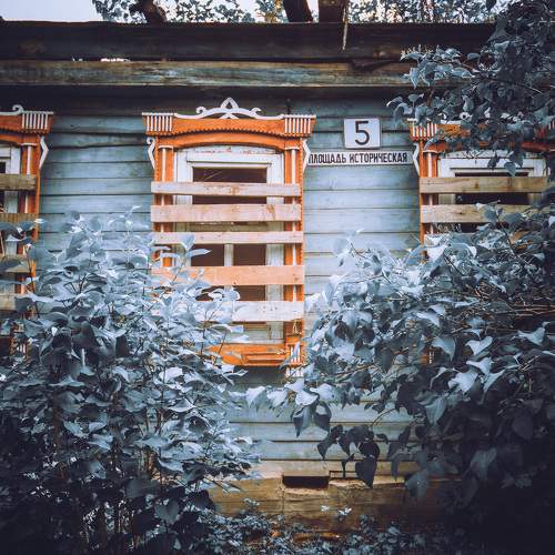 Photo #10716027