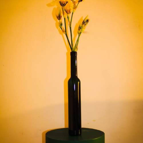 Photo #10716431