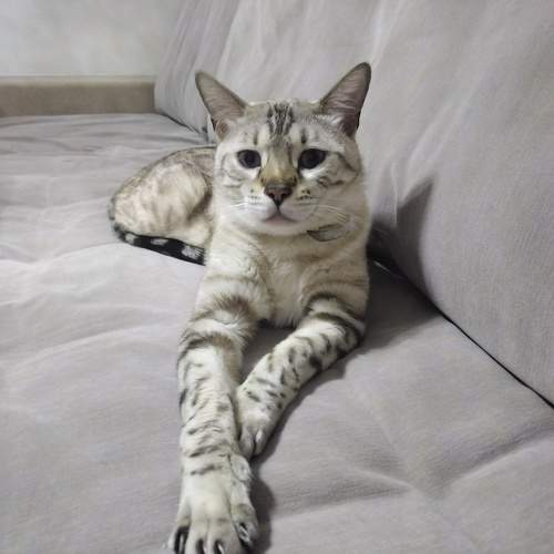 Photo #10716555