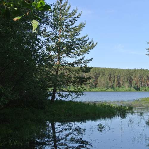 Photo #10716612