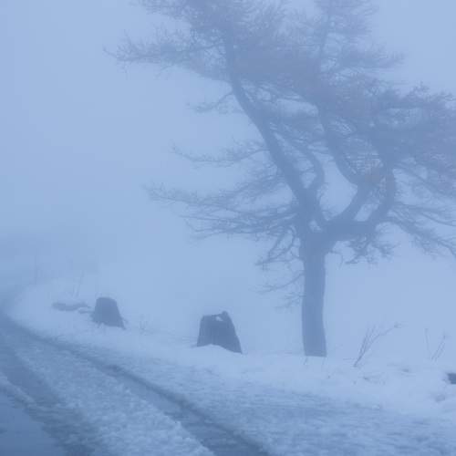 Photo #10716749