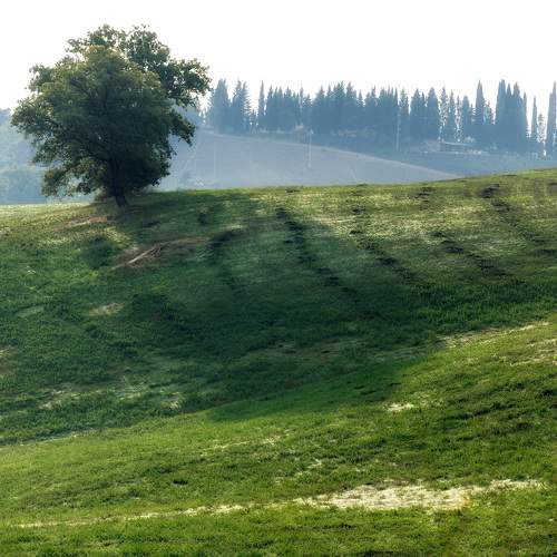 Photo #10716830