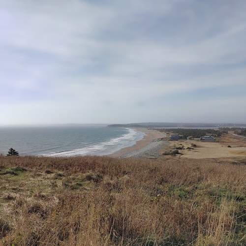 Photo #10716899