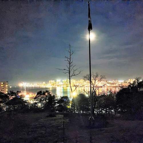 Photo #10716900