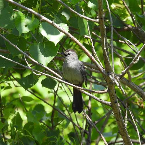 Photo #10717738