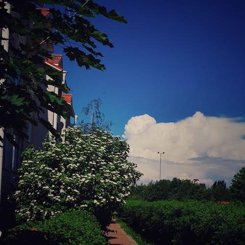 Photo #10718195