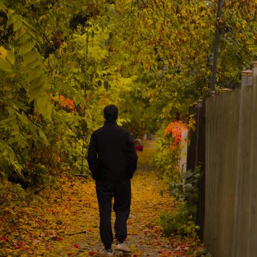Photo #10718393