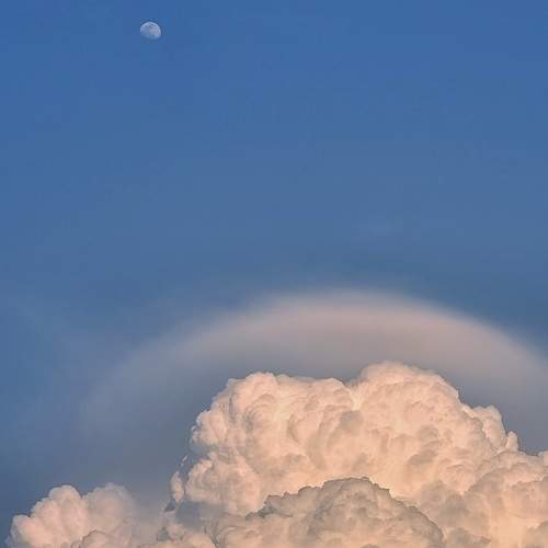 Photo #10718479