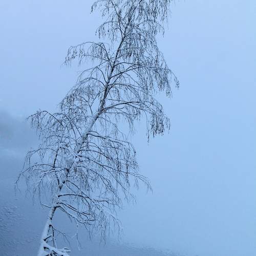 Photo #10718491