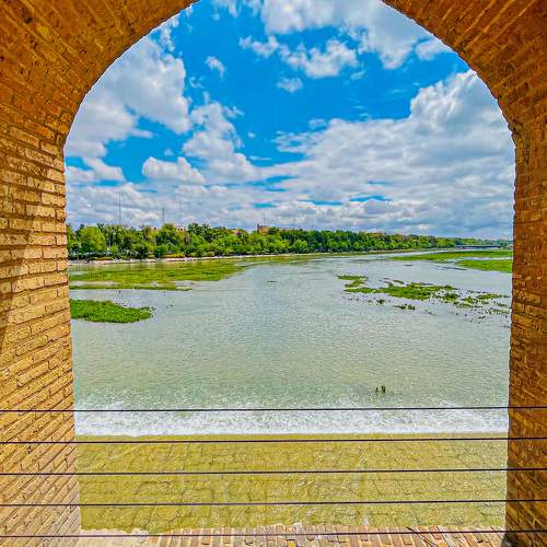 Photo #10719406