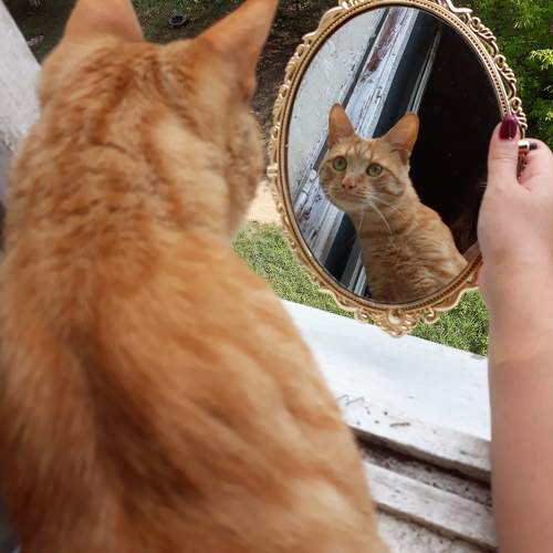 Photo #10719475