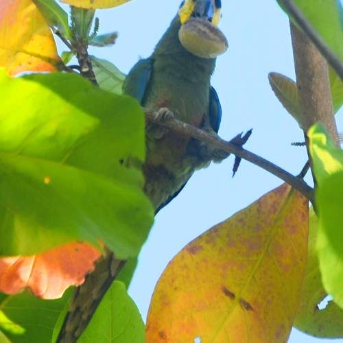 Photo #10719778