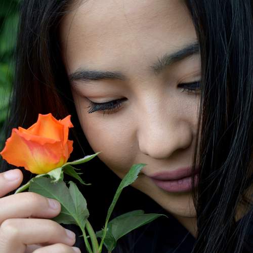 Photo #10720202