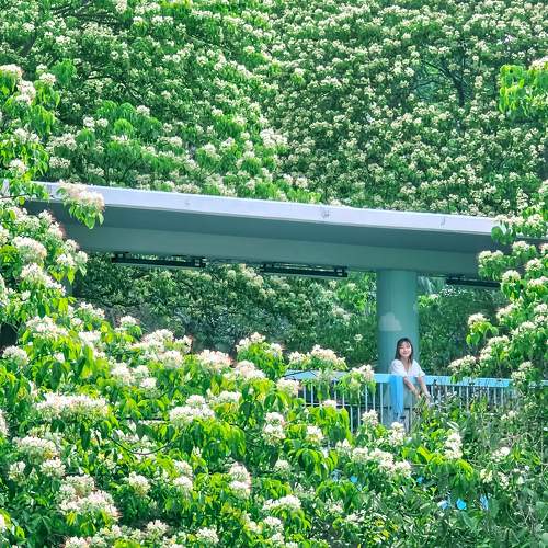 Photo #10720319