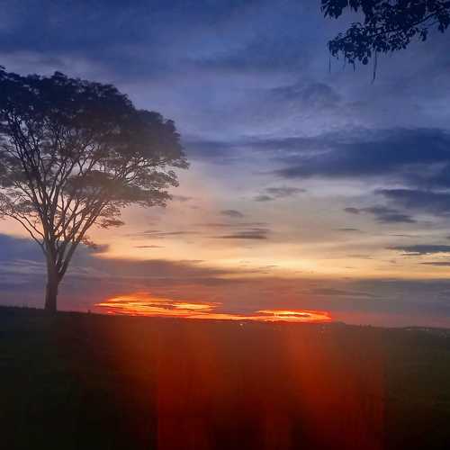 Photo #10720422