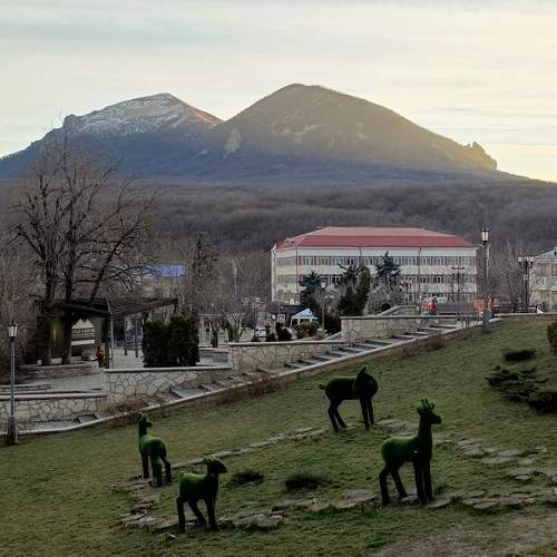 Photo #10720863
