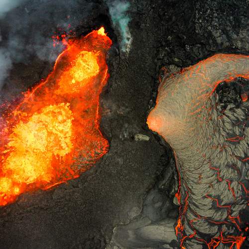 Photo #10720918