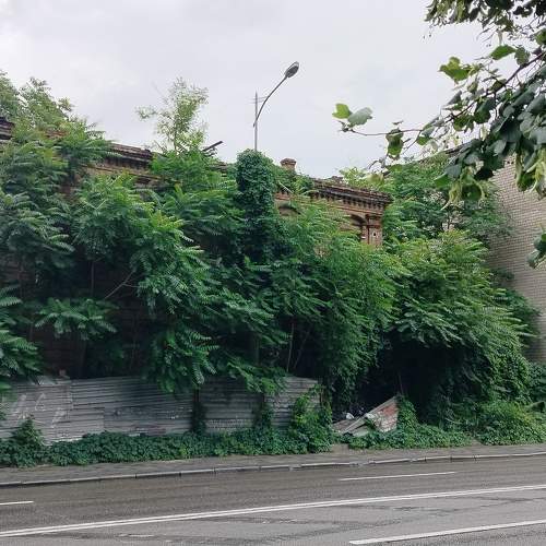 Photo #10720964
