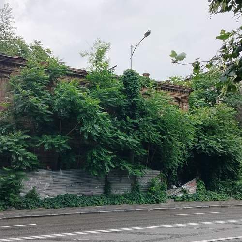 Photo #10720965