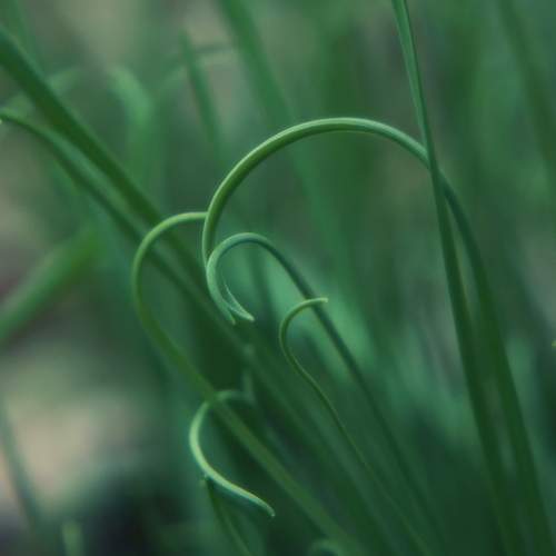 Photo #10721119
