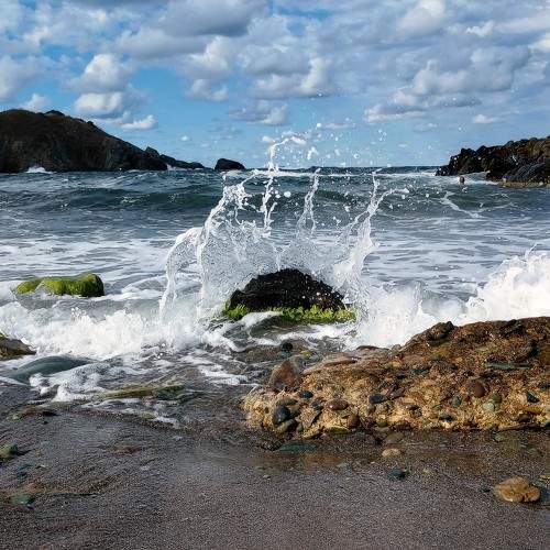 Photo #10721137