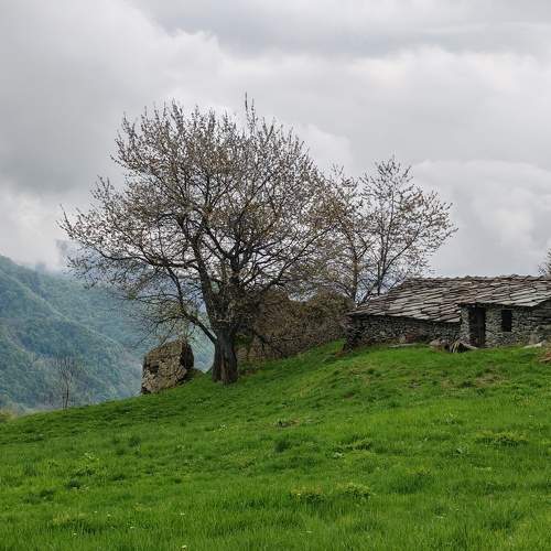 Photo #10721191