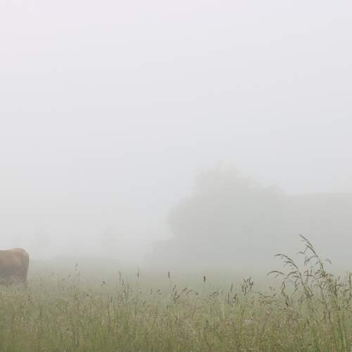 Photo #10721327