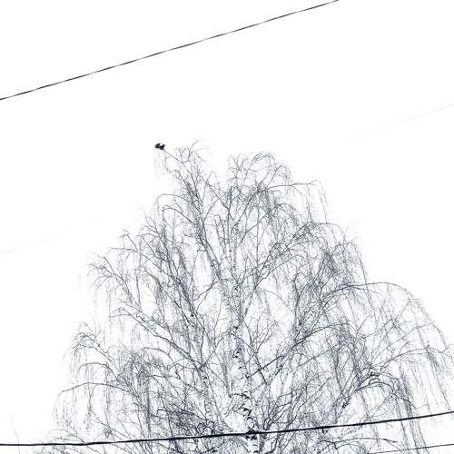 Photo #10721407