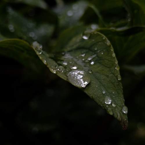 Photo #10722027