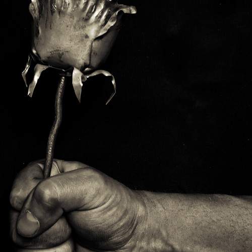 Photo #10722028