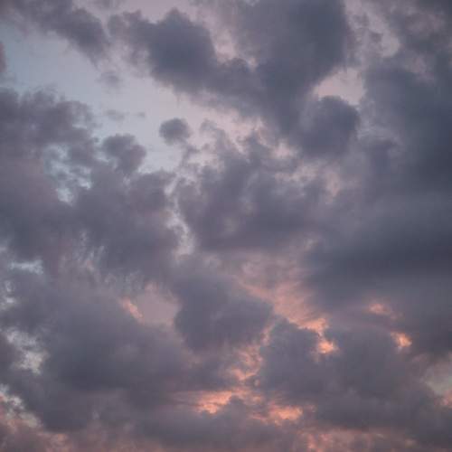 Photo #10722044