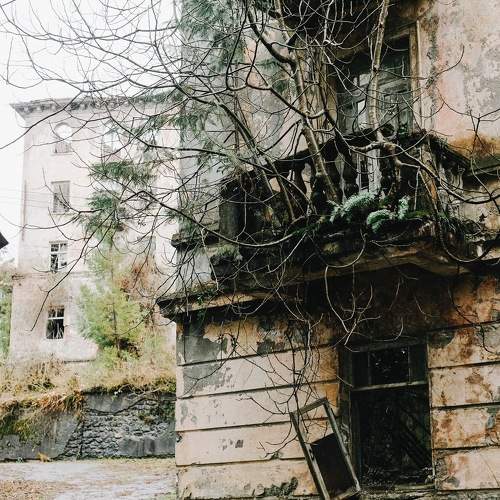 Photo #10722295