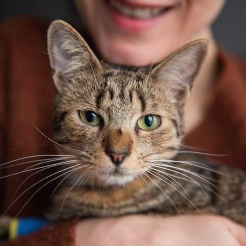 Photo #10722375