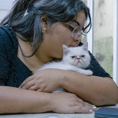 Photo #10722662