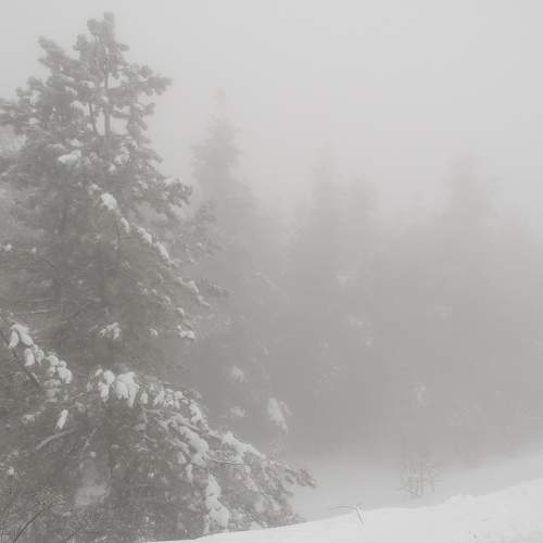 Photo #10723173
