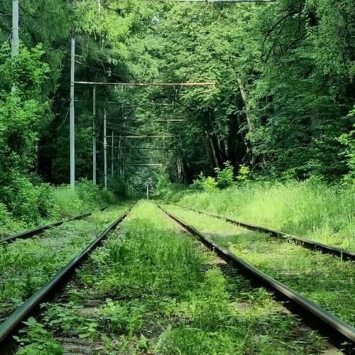 Photo #10723247