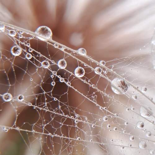 Photo #10723288