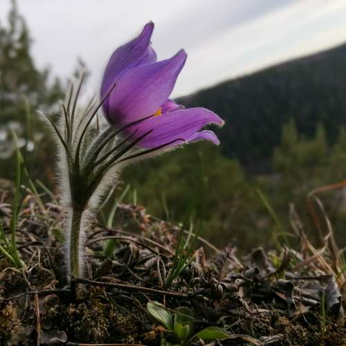 Photo #10723621