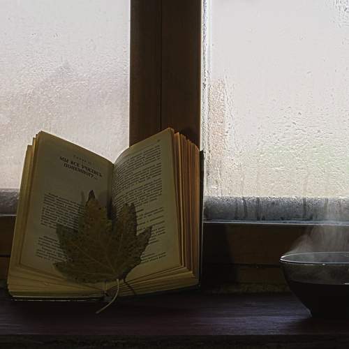 Photo #10724240