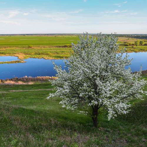Photo #10724244