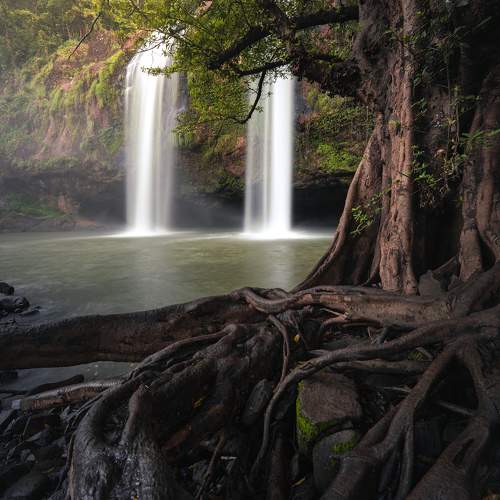 Photo #10724486