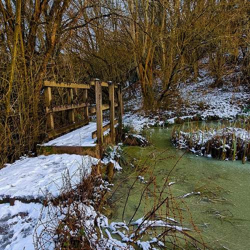 Photo #10724973