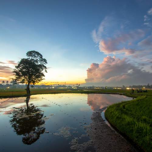 Photo #10725085