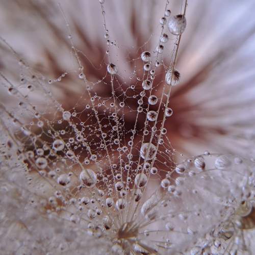 Photo #10725268