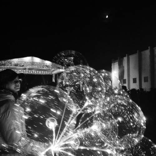 Photo #10725436