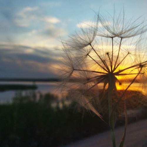 Photo #10725792