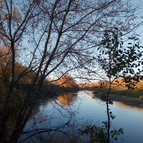 Photo #10725793