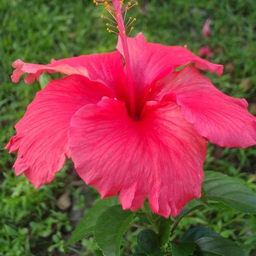 Photo #10725811